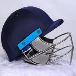 Cricket Protection